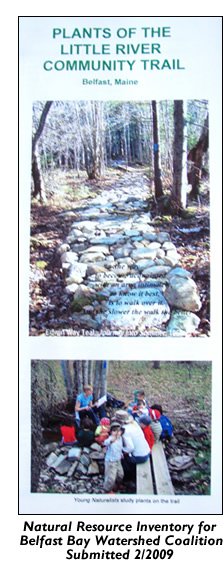 Inventory brochure for Belfast Bay Watershed