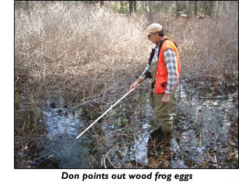Don points out wood frog eggs