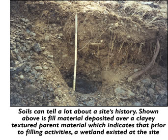 Fill soil