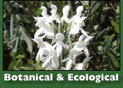Botanical & Ecological